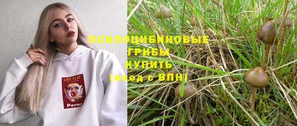 МДПВ Алзамай