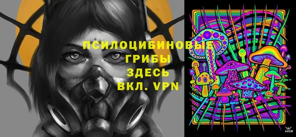МДПВ Алзамай