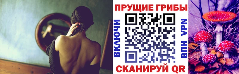 купить закладку  Киреевск  Псилоцибиновые грибы MAGIC MUSHROOMS 