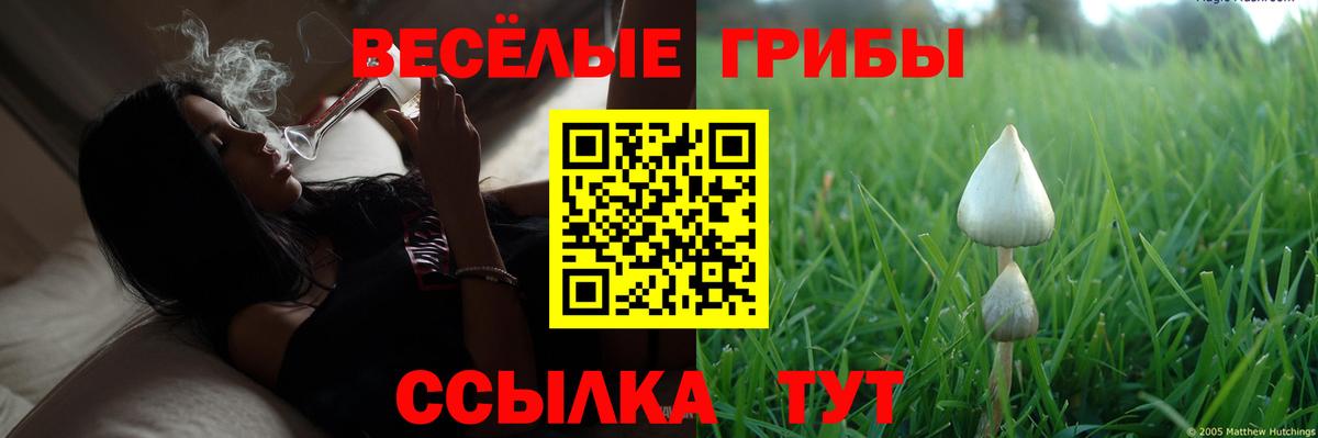 Псилоцибиновые грибы ЛСД  Вход с VPN  Киреевск 
